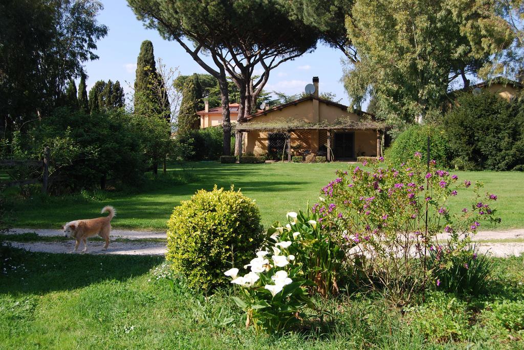 Casa Vacanze Vigna Di Valle 브라치아노 객실 사진