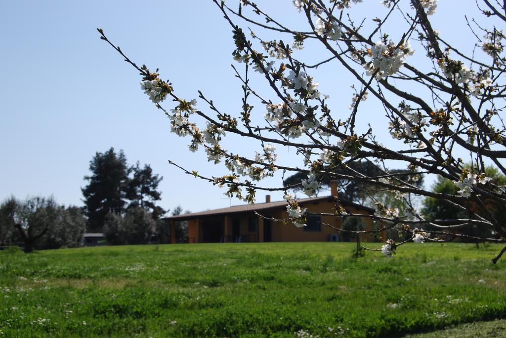 Casa Vacanze Vigna Di Valle 브라치아노 객실 사진