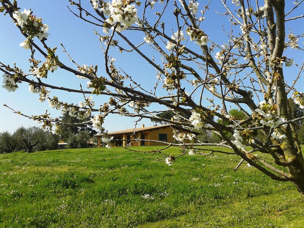 Casa Vacanze Vigna Di Valle 브라치아노 외부 사진
