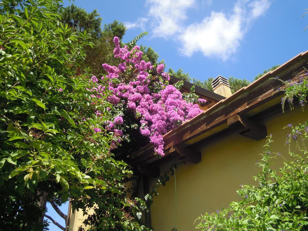 Casa Vacanze Vigna Di Valle 브라치아노 객실 사진