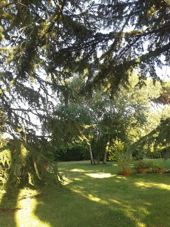 Casa Vacanze Vigna Di Valle 브라치아노 외부 사진