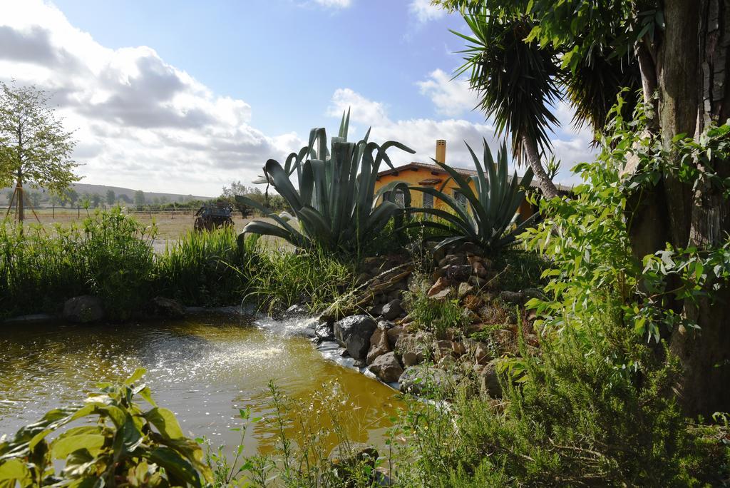 Casa Vacanze Vigna Di Valle 브라치아노 외부 사진